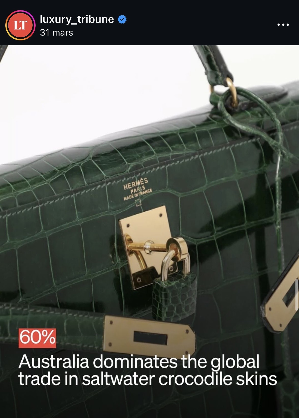 Luxury Tribune — visuel 1